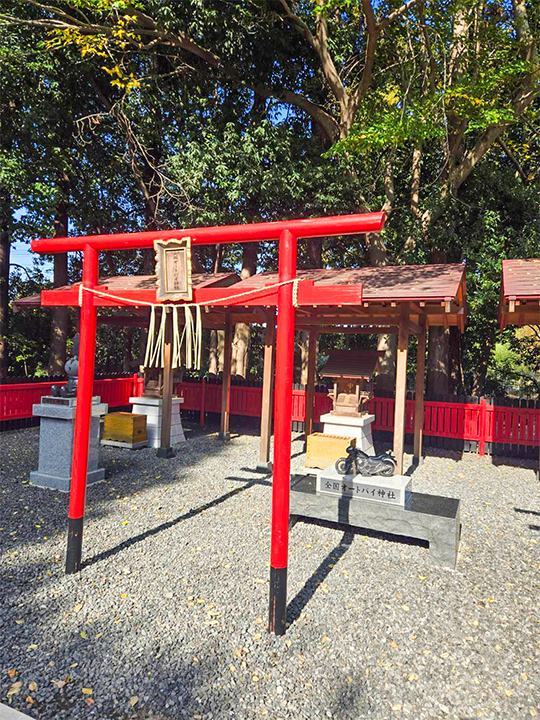 第5回 BDSバイクセンサー 秋の祭典