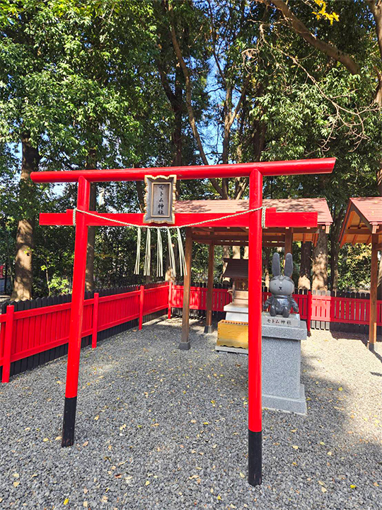 第5回 BDSバイクセンサー 秋の祭典