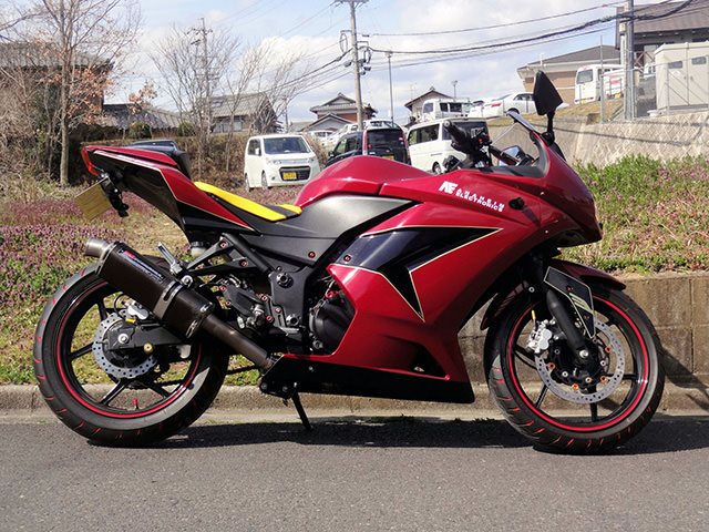 NINJA250R