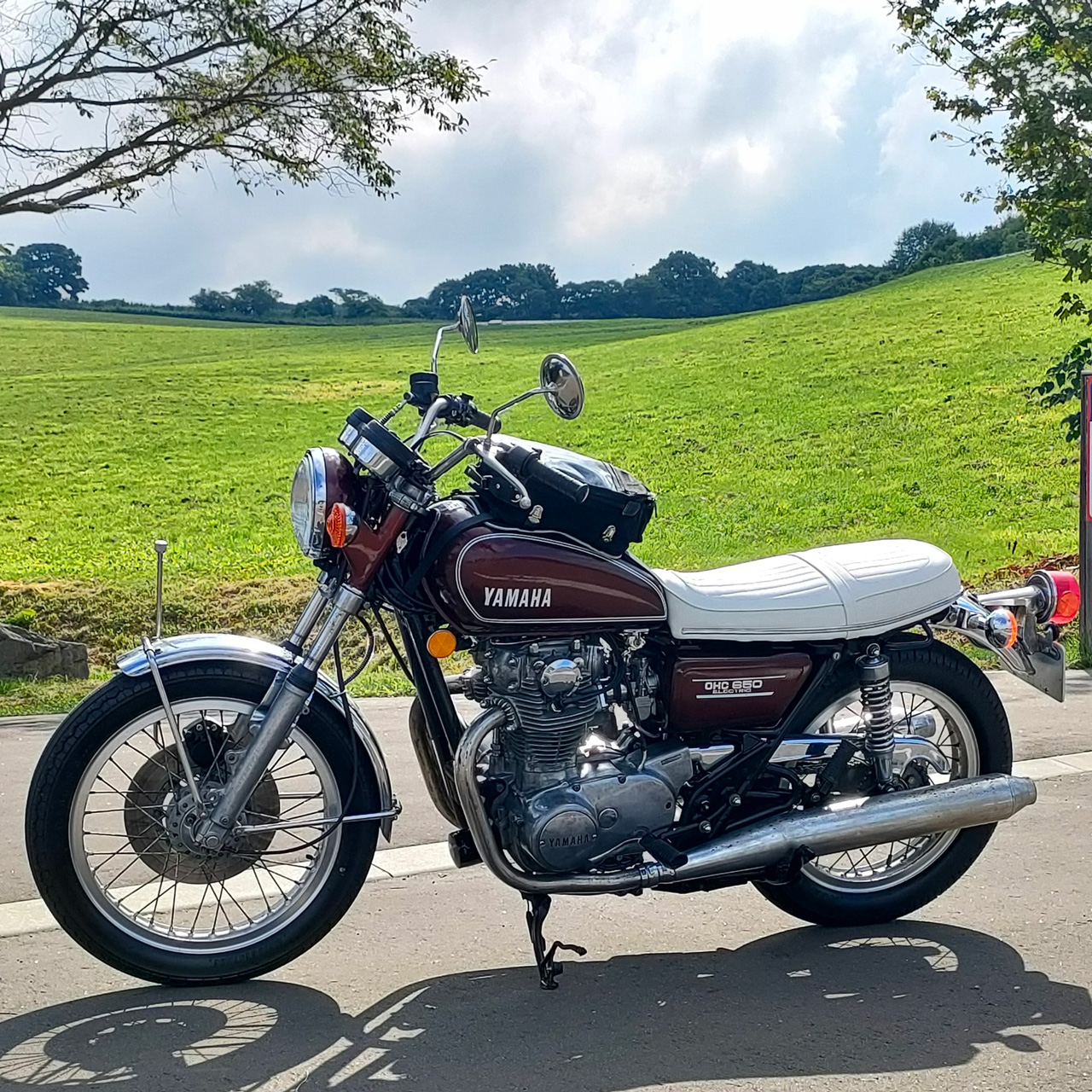 TX650