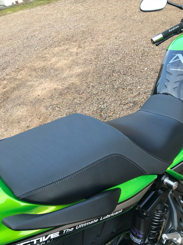 ZRX1200DAEG